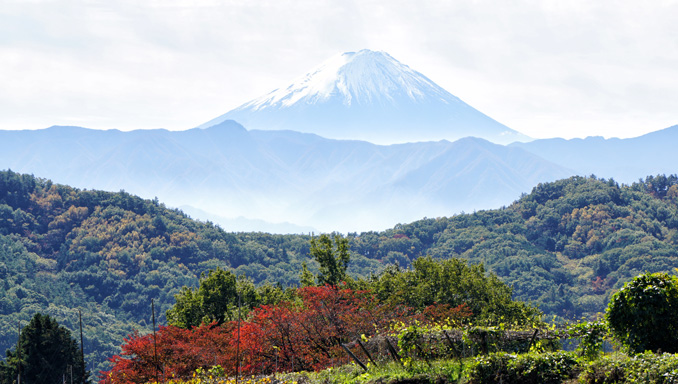 山梨県の甲府盆地